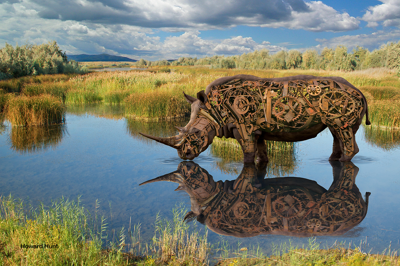 Rhino Sculpture by Howard Hunt